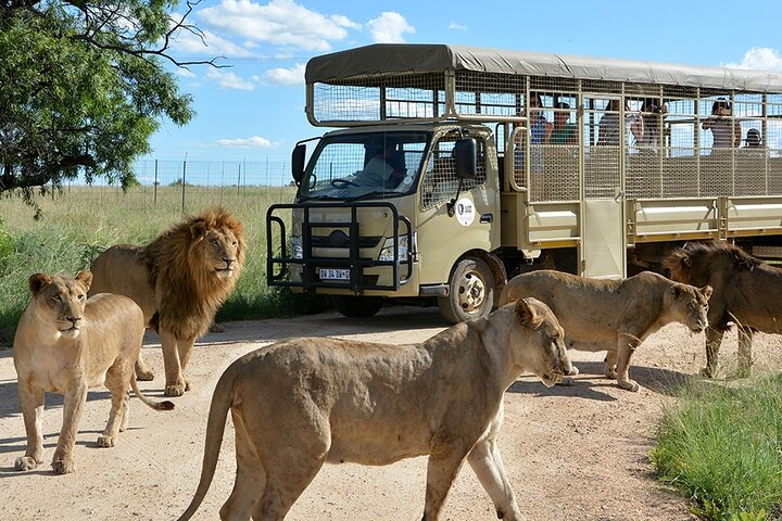  African Predators Safari, Unforgettable and Majestic.  - Photo 1 of 6